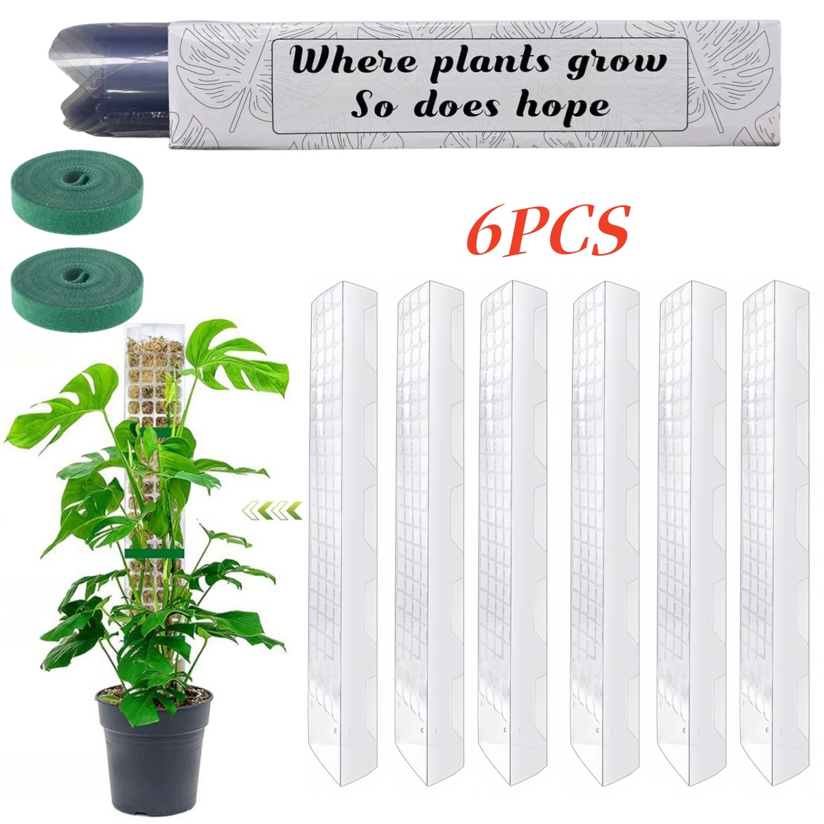 Sphagnum Moss Dry - Moss Pole Plastic Plant Stand Indoor