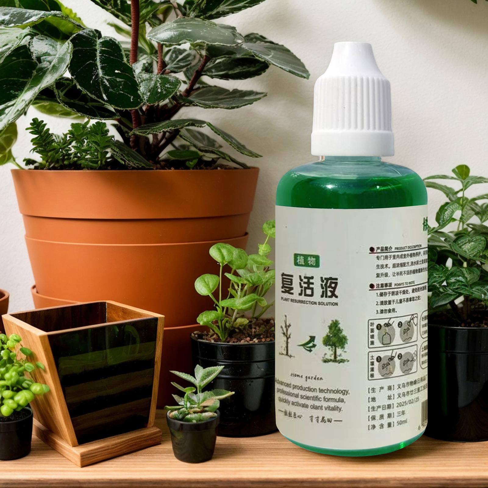 Root Stimulator for Plants Roo - Root Stimulator Liquid ulasan dan harga