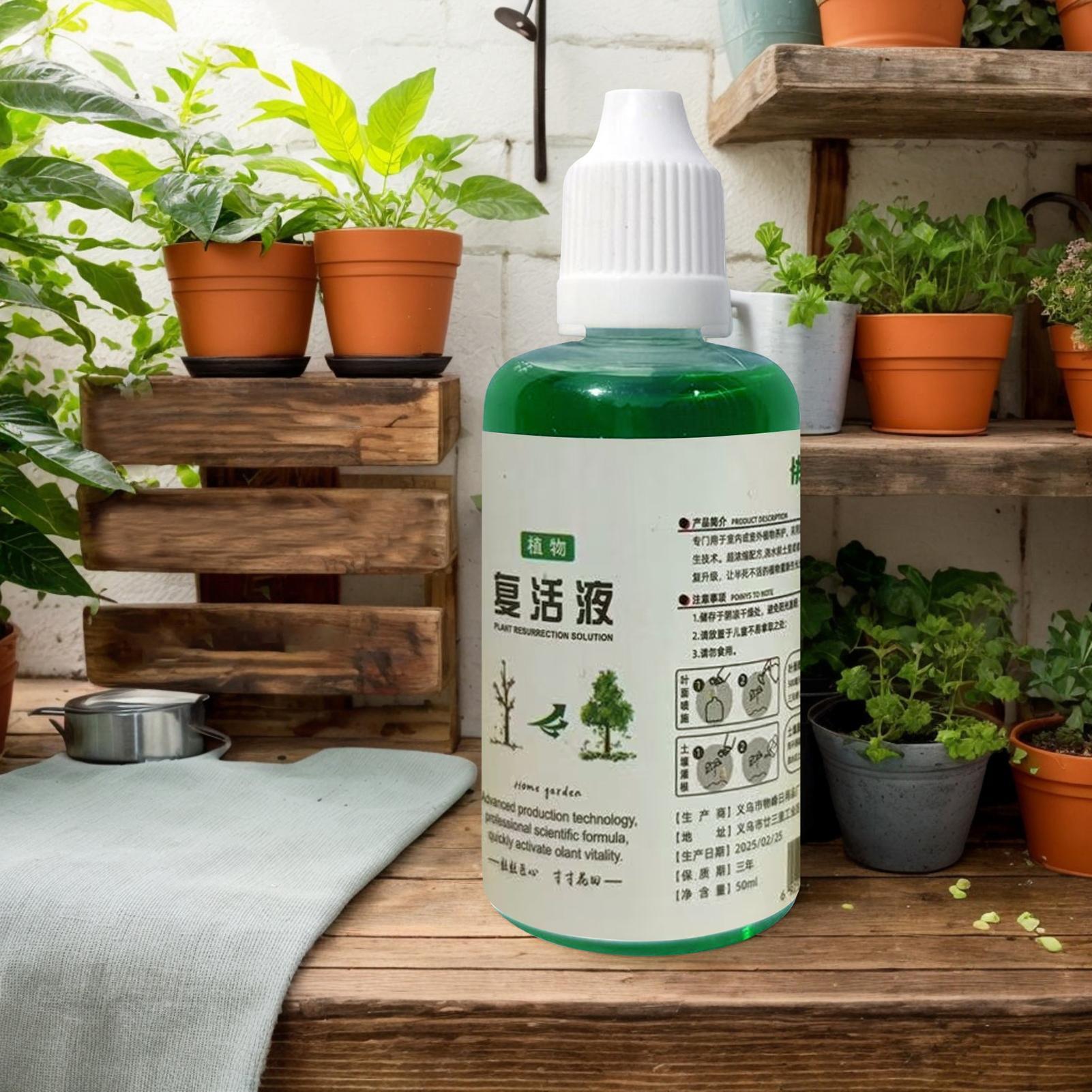 Root Stimulator for Plants Roo - Root Stimulator Liquid ulasan dan harga