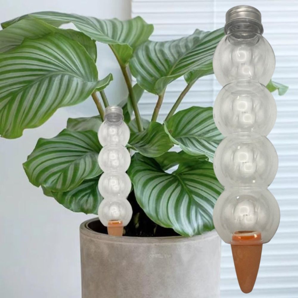 Self Watering Watering Planter - Self Watering Insert ulasan dan harga