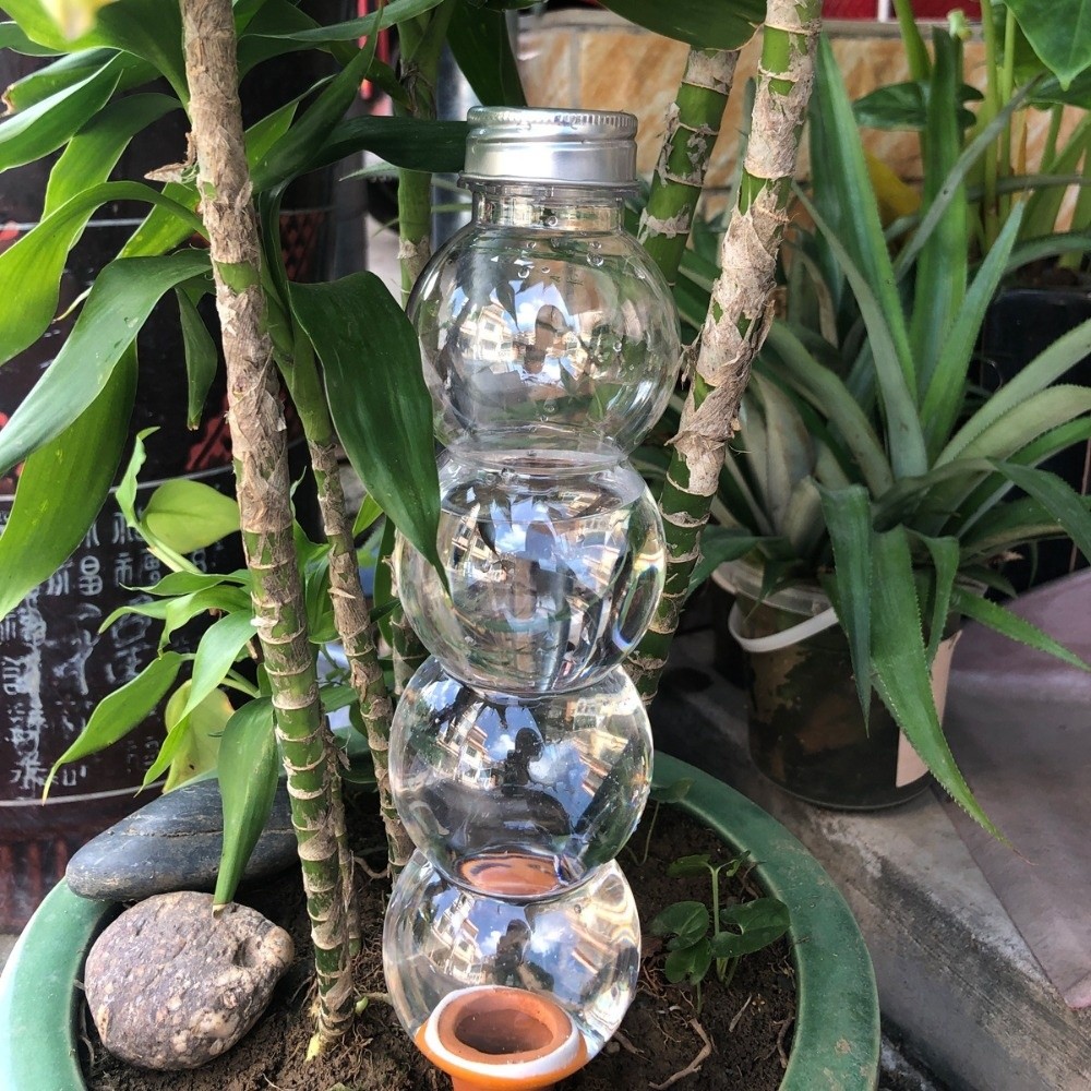 Self Watering Watering Planter - Self Watering Insert ulasan dan harga