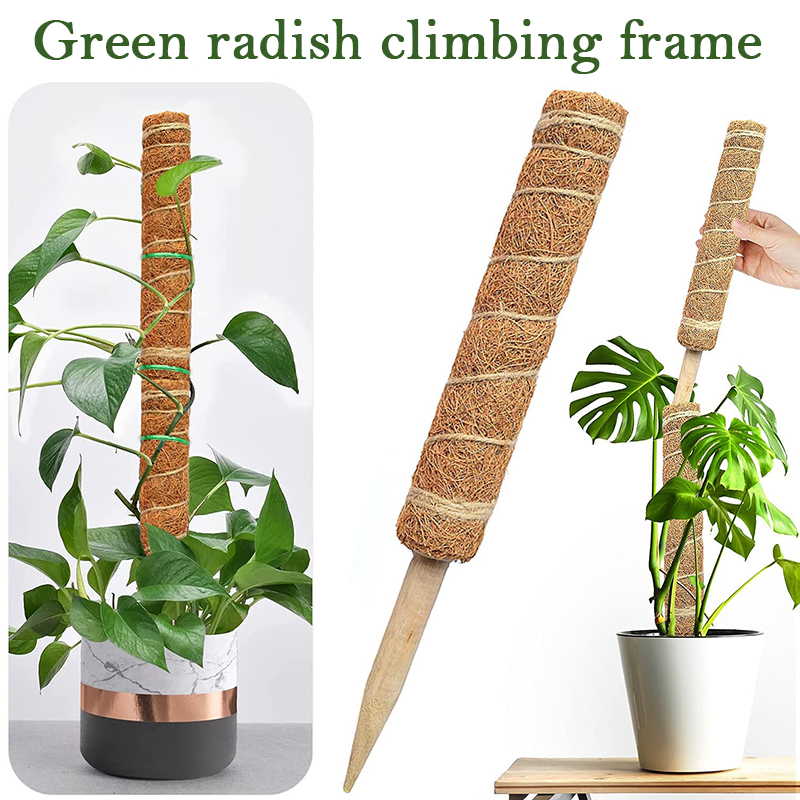 30/40/50cm Plant Climbing Coir - Sphagnum Moss Dry ulasan dan harga