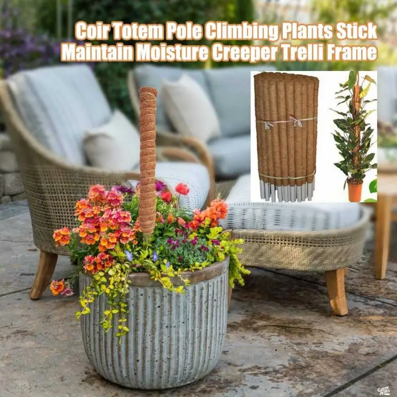 30/40/50cm Plant Climbing Coir - Sphagnum Moss Dry ulasan dan harga
