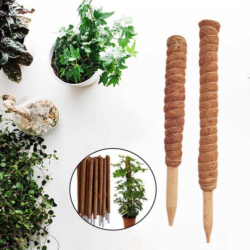30/40/50cm Plant Climbing Coir - Sphagnum Moss Dry ulasan dan harga