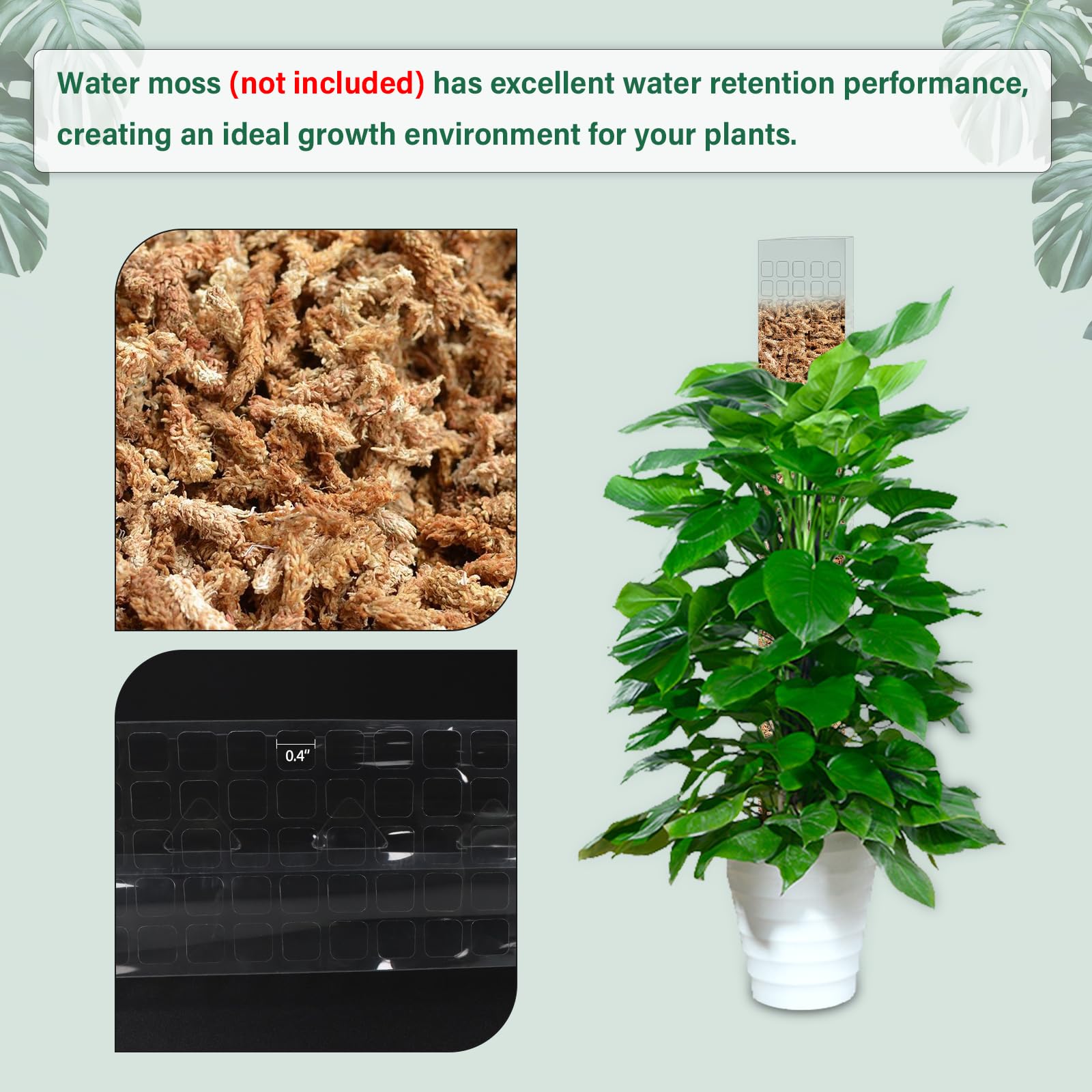 Moss Pole Plastic Plant Stand  - Sphagnum Moss Dry ulasan dan harga