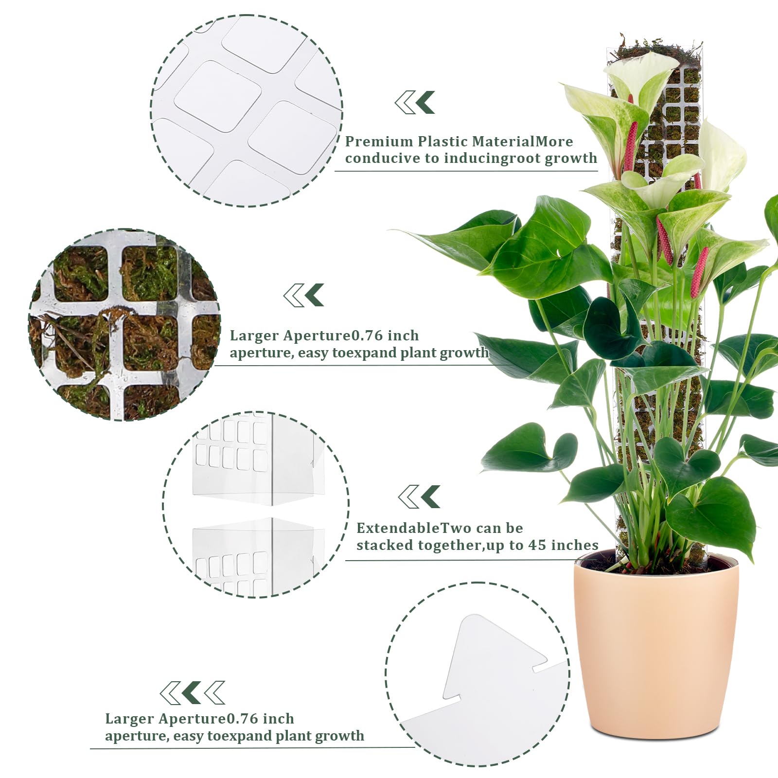 Moss Pole Plastic Plant Stand  - Sphagnum Moss Dry ulasan dan harga