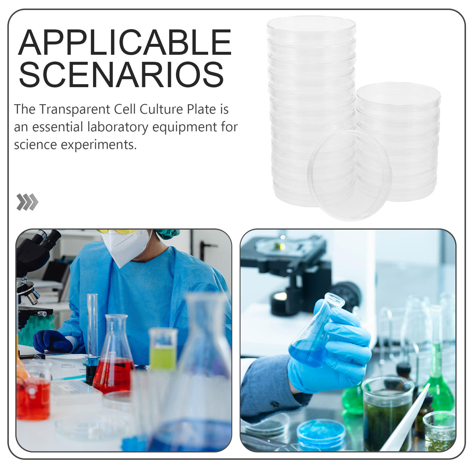 20Pcs Reliable Sterile Petri D - Agar Tissue Culture ulasan dan harga