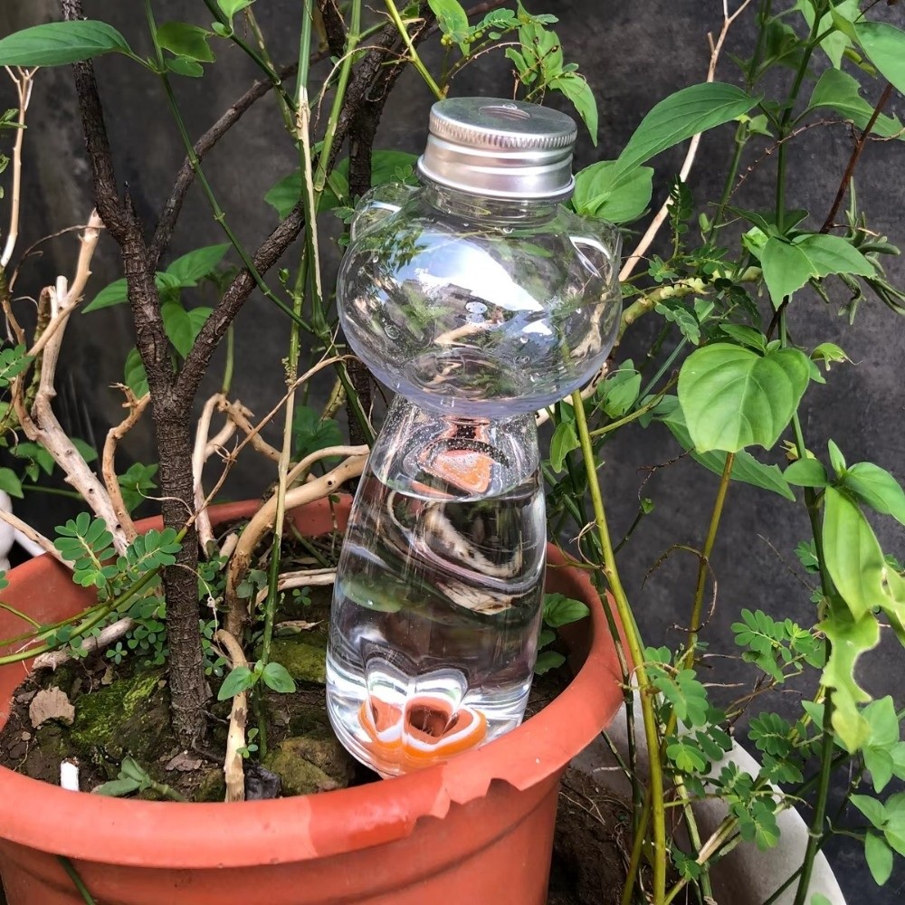 Self Watering Watering Planter - Self Watering Insert ulasan dan harga