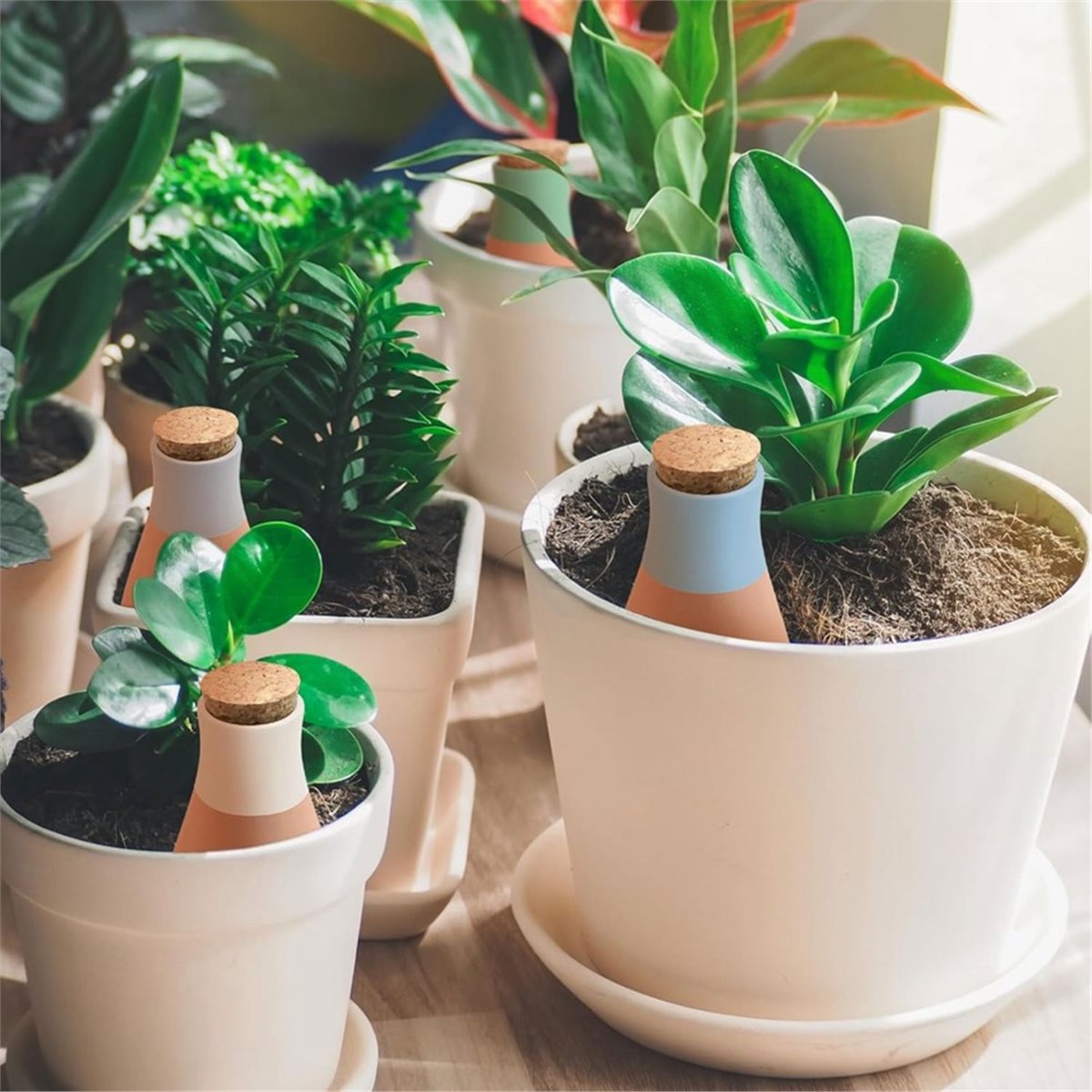 A20I 4PCS Terracotta Watering  - Self Watering Insert ulasan dan harga